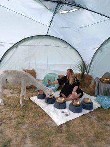 SvenjaWallis_Alpaka_Special__005